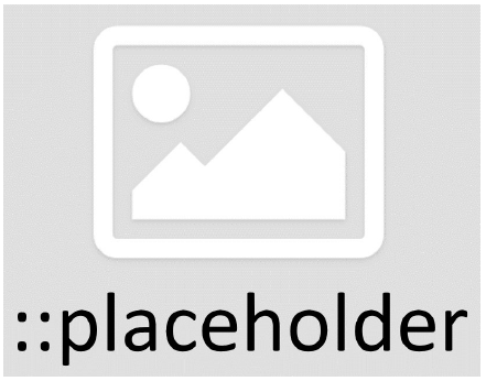 logo_placeholder